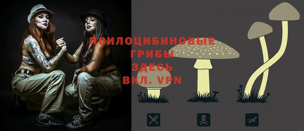 mdpv Магас